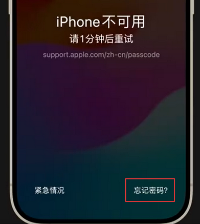 柳江苹果手机密码维修分享iPhone忘记了刚设置的密码 