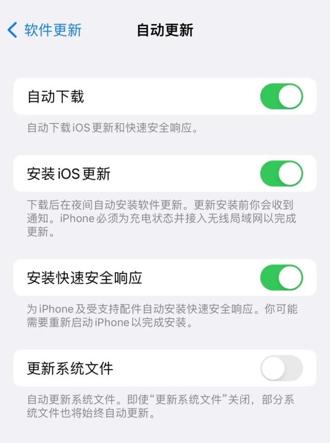 柳江苹果手机维修分享苹果快速安全响应更新有必要安装吗 