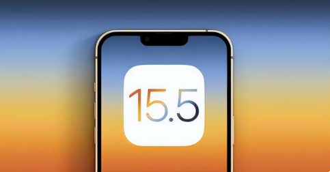 柳江苹果手机维修分享iOS15.5 RC版升级建议 