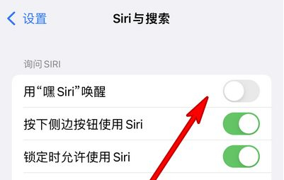 柳江苹果13维修分享iPhone 13怎么唤醒 Siri  