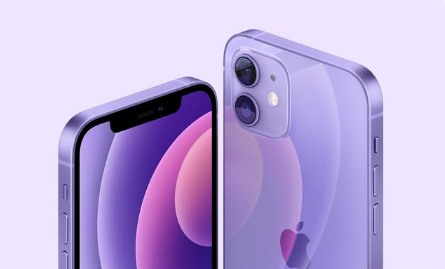 柳江苹果手机维修分享紫色版iPhone 12有什么技术亮点 